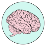 the school of psychology logo pink brain centered in a light blue circle